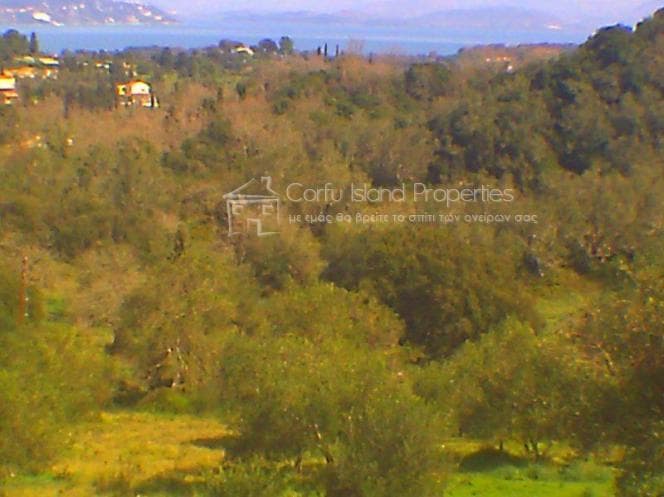 Building Plot in Pareli, Corfu — Photo 5 of 26