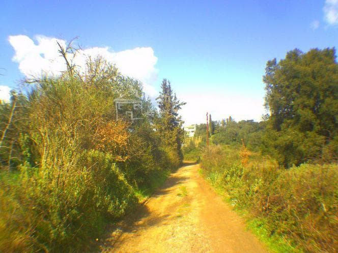 Building Plot in Pareli, Corfu — Photo 16 of 26