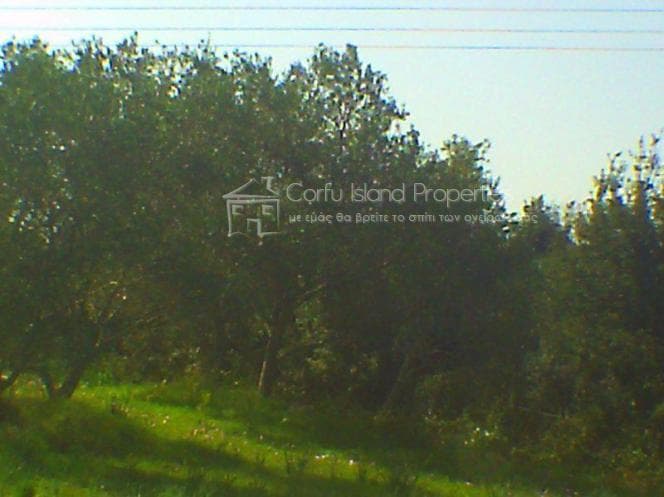 Building Plot in Pareli, Corfu — Photo 13 of 26