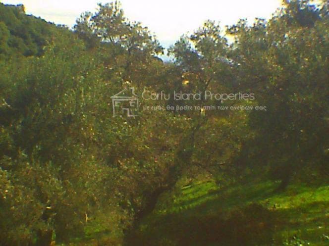 Building Plot in Pareli, Corfu — Photo 11 of 26