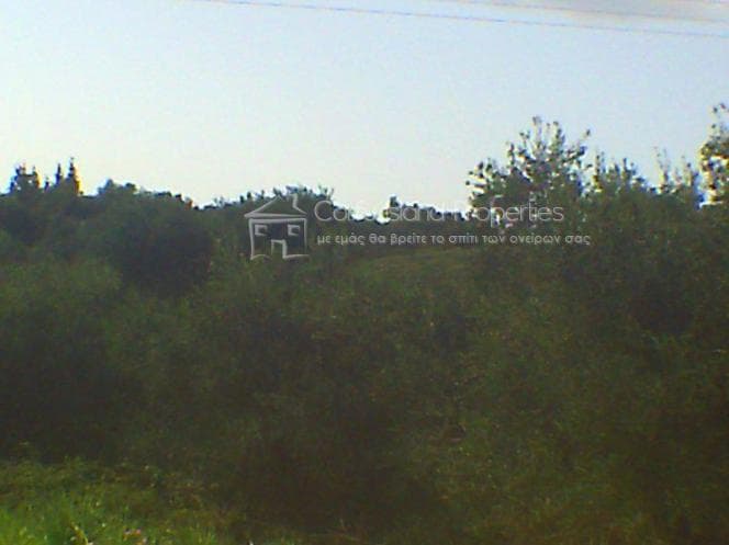 Building Plot in Pareli, Corfu — Photo 12 of 26