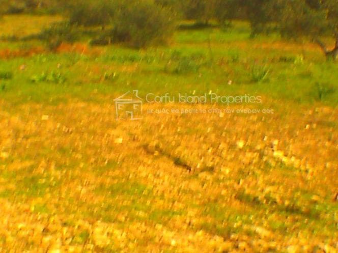 Building Plot in Pareli, Corfu — Photo 4 of 26