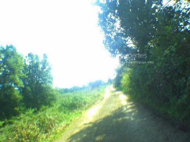 Building Plot in Pareli, Corfu — Photo 14 of 26