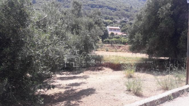 Οικόπεδο στην Παρέλι, Κέρκυρα — Φωτογραφία 8 από 10