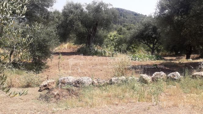 Οικόπεδο στην Παρέλι, Κέρκυρα — Φωτογραφία 10 από 10