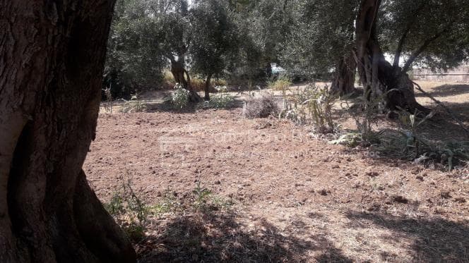 Οικόπεδο στην Παρέλι, Κέρκυρα — Φωτογραφία 9 από 10