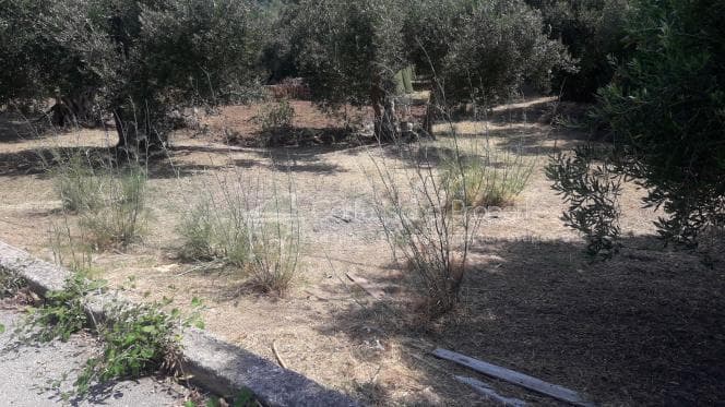 Οικόπεδο στην Παρέλι, Κέρκυρα — Φωτογραφία 2 από 10