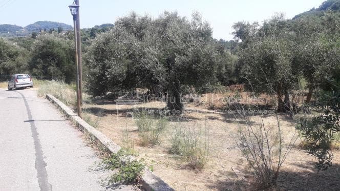 Οικόπεδο στην Παρέλι, Κέρκυρα — Φωτογραφία 4 από 10