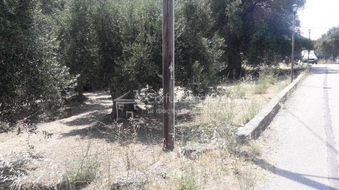 Οικόπεδο στην Παρέλι, Κέρκυρα — Φωτογραφία 1 από 10