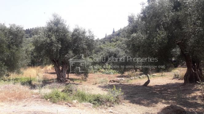 Οικόπεδο στην Παρέλι, Κέρκυρα — Φωτογραφία 3 από 10