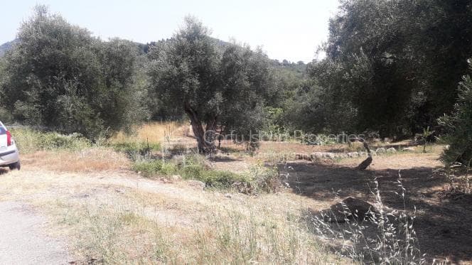 Οικόπεδο στην Παρέλι, Κέρκυρα — Φωτογραφία 5 από 10