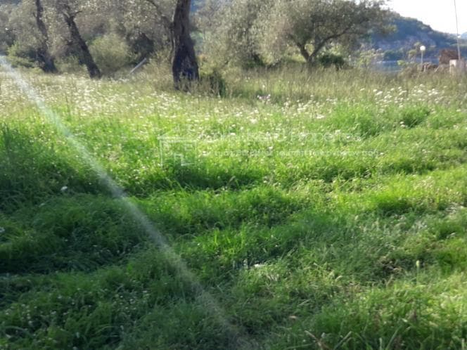 Building Plot in Perivolia, Galatsi — Photo 22 of 22