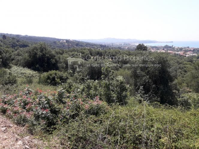 Οικόπεδο στην Κασσιόπη, Κέρκυρα — Φωτογραφία 15 από 20