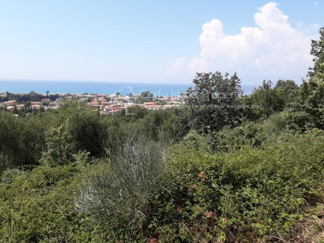 Οικόπεδο στην Κασσιόπη, Κέρκυρα — Φωτογραφία 8 από 20