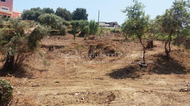 Οικόπεδο στην Αχίλλειο, Κέρκυρα — Φωτογραφία 18 από 20