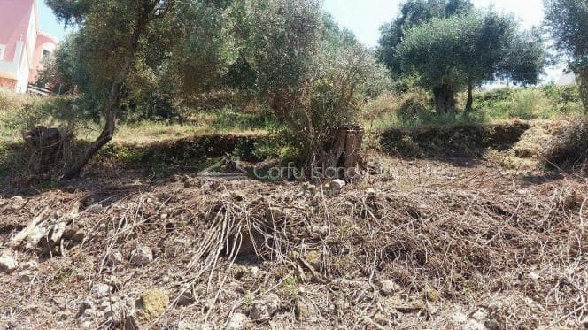 Οικόπεδο στην Αχίλλειο, Κέρκυρα — Φωτογραφία 17 από 20