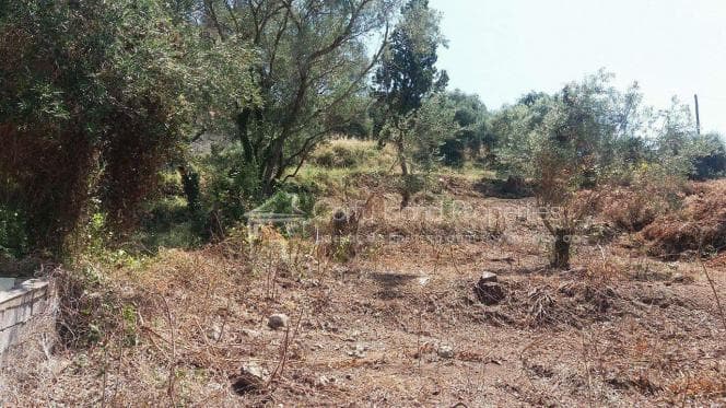 Οικόπεδο στην Αχίλλειο, Κέρκυρα — Φωτογραφία 14 από 20