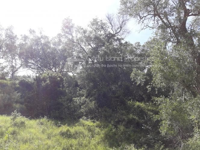 Οικόπεδο στην Αχίλλειο, Κέρκυρα — Φωτογραφία 25 από 28