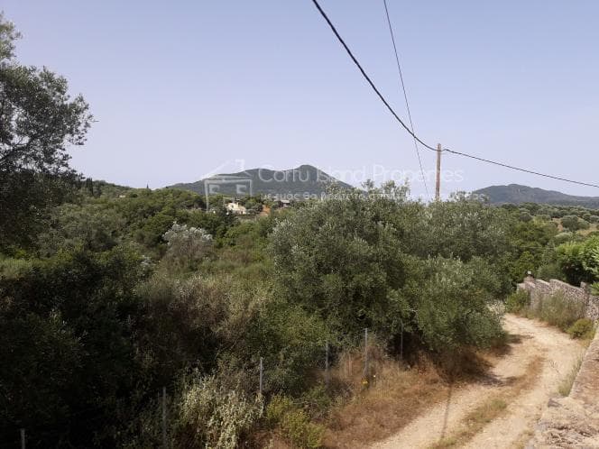 House in Pareli, Corfu — Photo 13 of 30