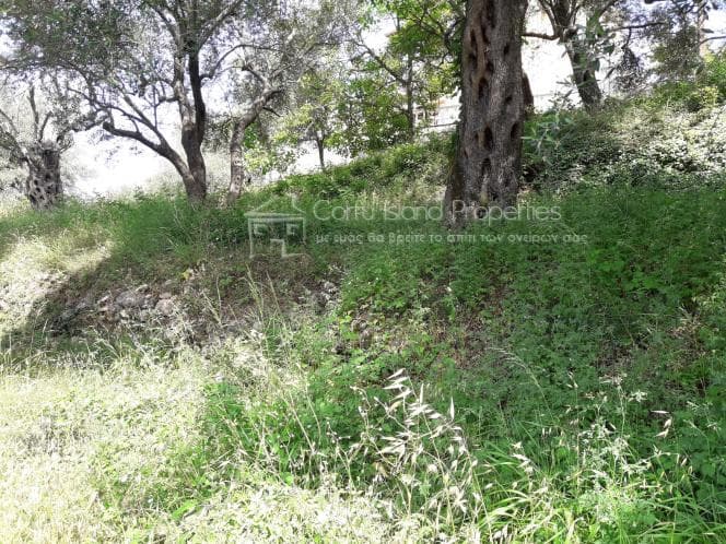 Οικόπεδο στην Αχίλλειο, Κέρκυρα — Φωτογραφία 9 από 17