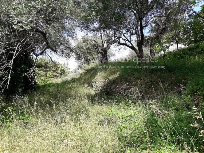 Οικόπεδο στην Αχίλλειο, Κέρκυρα — Φωτογραφία 7 από 17