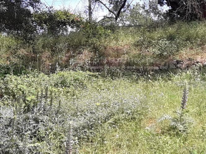 Οικόπεδο στην Αχίλλειο, Κέρκυρα — Φωτογραφία 11 από 17