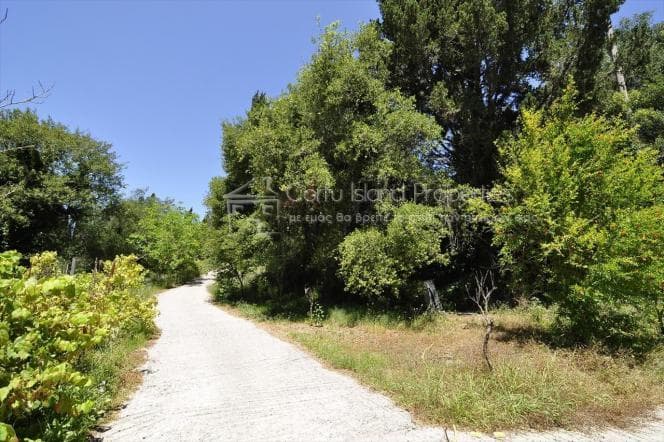 House in Achilleio, Corfu — Photo 6 of 27