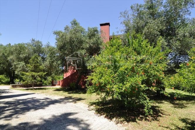 House in Achilleio, Corfu — Photo 2 of 27