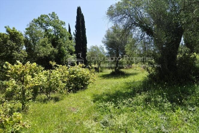House in Achilleio, Corfu — Photo 23 of 27