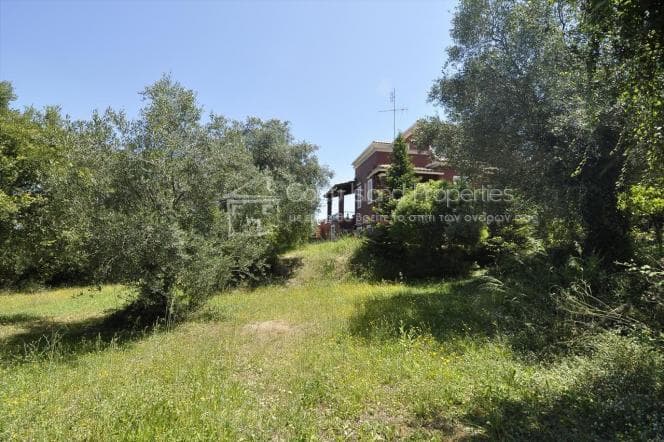 House in Achilleio, Corfu — Photo 7 of 27