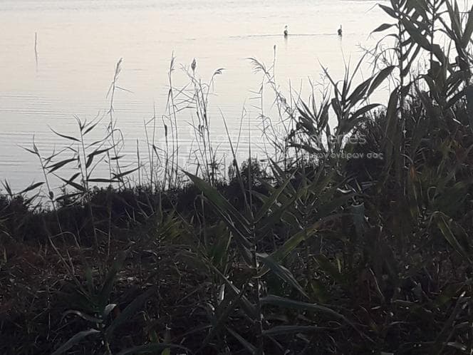 Οικόπεδο στην Μελιτειέοι, Κέρκυρα — Φωτογραφία 7 από 17