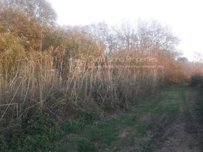 Οικόπεδο στην Μελιτειέοι, Κέρκυρα — Φωτογραφία 12 από 17