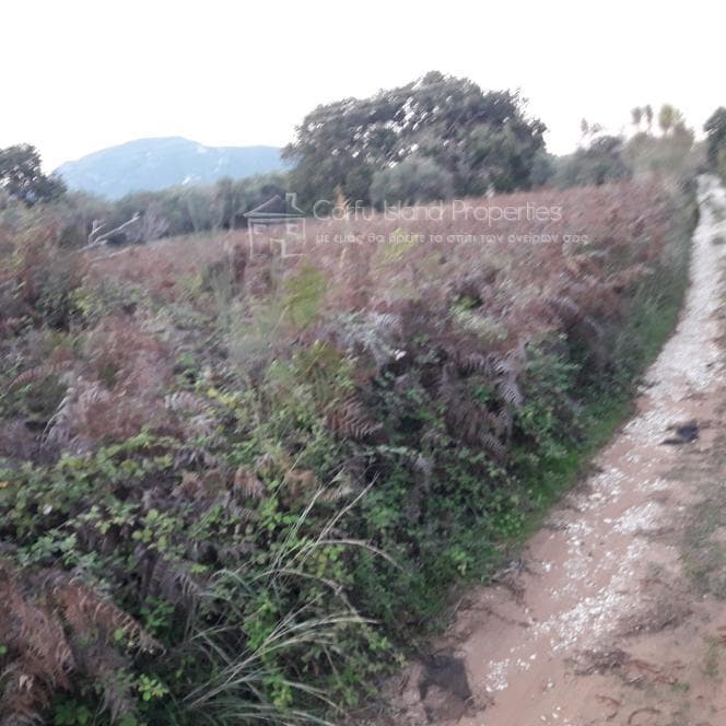 Οικόπεδο στην Μελιτειέοι, Κέρκυρα — Φωτογραφία 3 από 10
