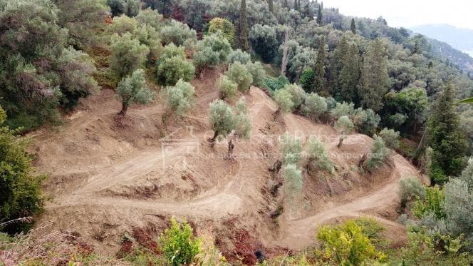 Οικόπεδο στην Αχίλλειο, Κέρκυρα — Φωτογραφία 3 από 4