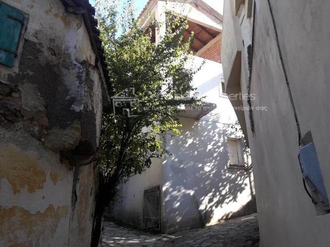 House in Achilleio, Corfu — Photo 4 of 24