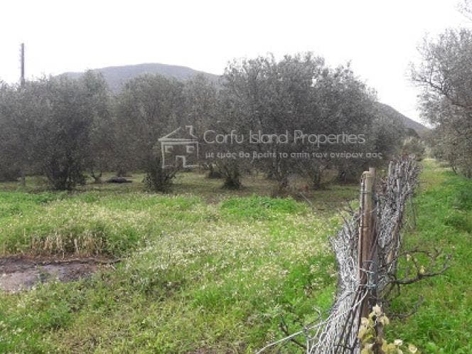 Οικόπεδο στην Μελιτειέοι, Κέρκυρα — Φωτογραφία 8 από 17
