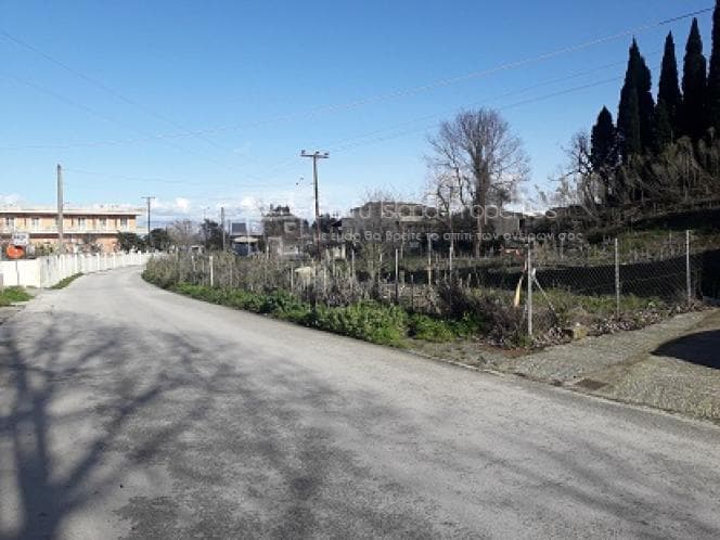 Οικόπεδο στην Παρέλι, Κέρκυρα — Φωτογραφία 15 από 20