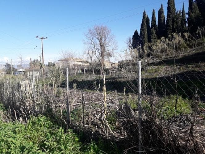Οικόπεδο στην Παρέλι, Κέρκυρα — Φωτογραφία 18 από 20