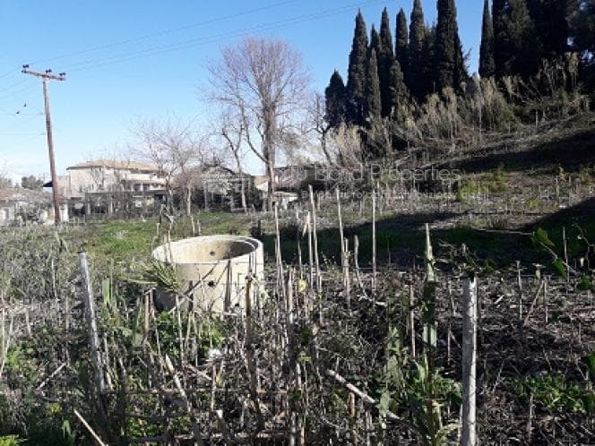 Οικόπεδο στην Παρέλι, Κέρκυρα — Φωτογραφία 12 από 20