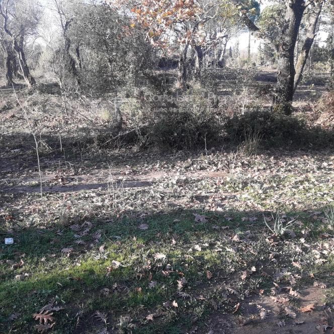 Οικόπεδο στην Παρέλι, Κέρκυρα — Φωτογραφία 9 από 10