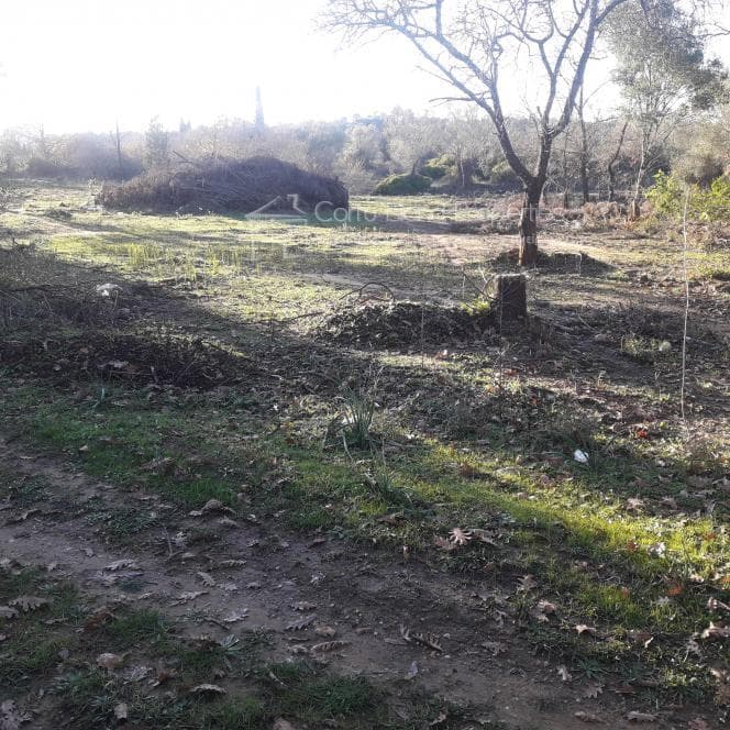 Οικόπεδο στην Παρέλι, Κέρκυρα — Φωτογραφία 6 από 10