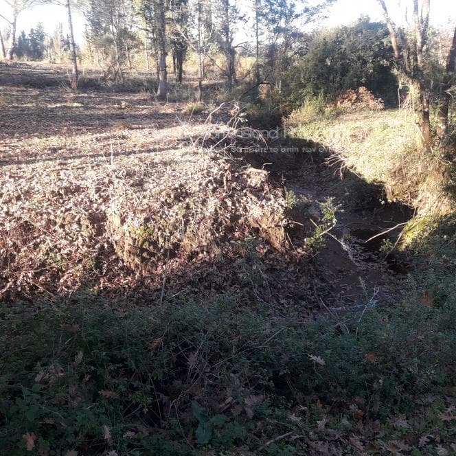 Οικόπεδο στην Παρέλι, Κέρκυρα — Φωτογραφία 5 από 10