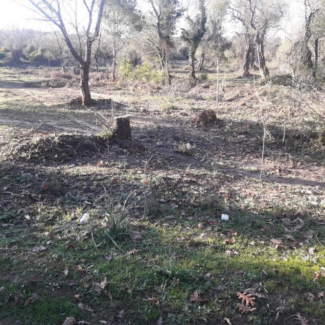 Οικόπεδο στην Παρέλι, Κέρκυρα — Φωτογραφία 1 από 10