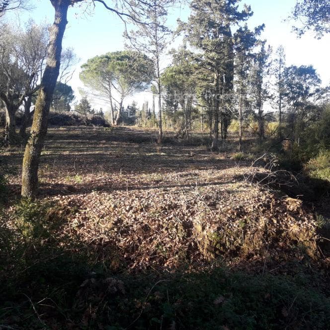 Οικόπεδο στην Παρέλι, Κέρκυρα — Φωτογραφία 2 από 10