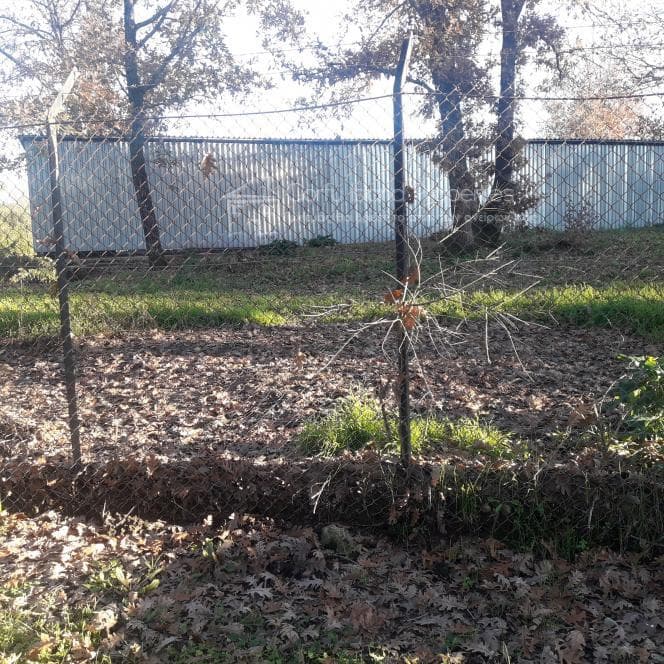 Οικόπεδο στην Παρέλι, Κέρκυρα — Φωτογραφία 8 από 10