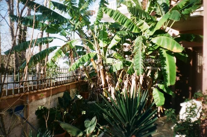 House in Αgios Georgios, Corfu — Photo 18 of 20