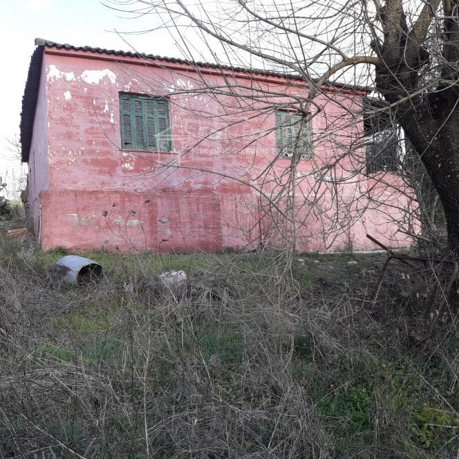 Μονοκατοικία στην Παρέλι, Κέρκυρα — Φωτογραφία 14 από 27
