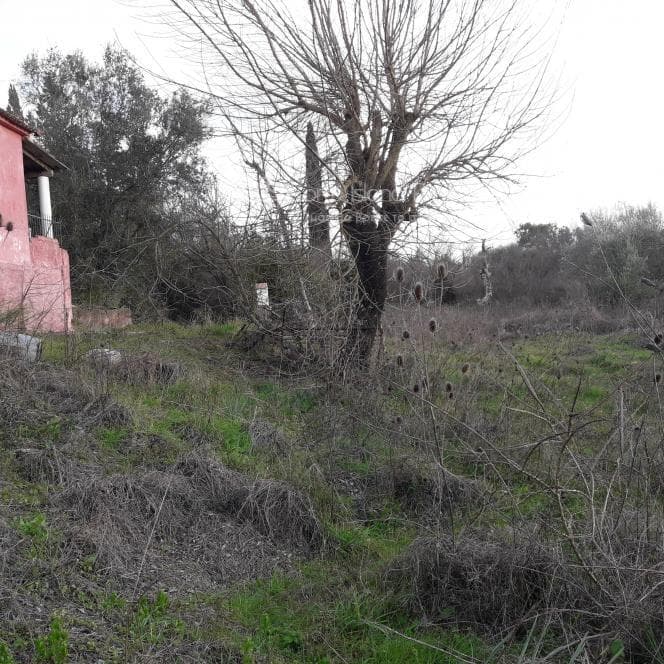 Μονοκατοικία στην Παρέλι, Κέρκυρα — Φωτογραφία 22 από 27