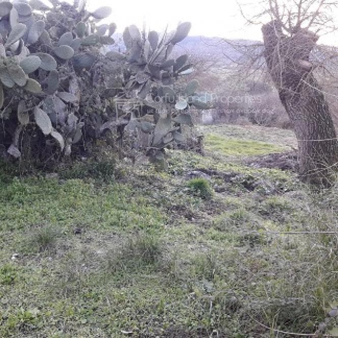 Μονοκατοικία στην Παρέλι, Κέρκυρα — Φωτογραφία 21 από 27