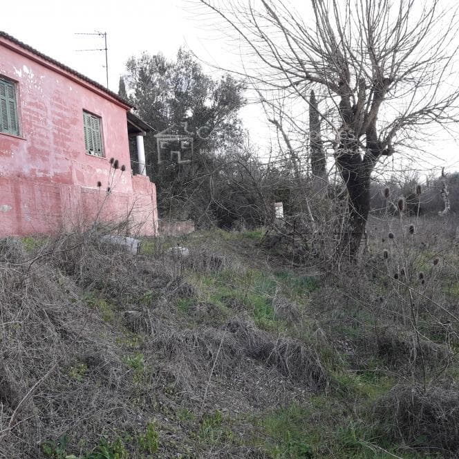 Μονοκατοικία στην Παρέλι, Κέρκυρα — Φωτογραφία 16 από 27